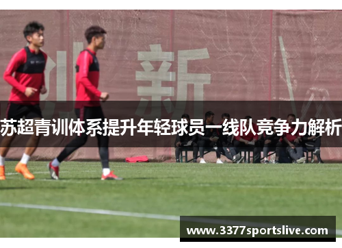 苏超青训体系提升年轻球员一线队竞争力解析
